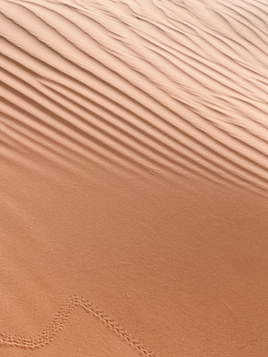 песок в пустыне образует красивые узоры, песчаные дюны, барханы