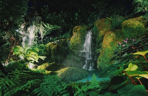 водопад в тропическом лесу, зеленый пейзаж 