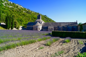 Французское Шато, расположенное среди прекрасных лавандовых полей в Провансе