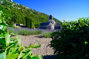 Французское Шато, расположенное на лавандовых полях в Провансе. Лавандовое поле