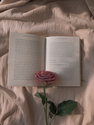 Бутон бледно-розовой розы лежит на книге, крупный план 