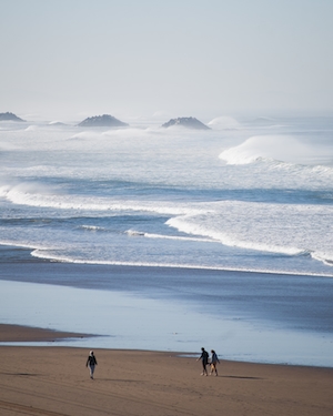 фото морского побережья с песчаным пляжем с высоты, люди гуляют по песку 