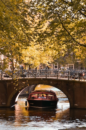 Осень в Амстердаме 
