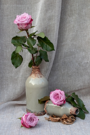 натюрморт, цветы, розы в вазе 