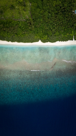 бирюзовое побережье с белым песком, фото с воздуха, зеленый берег 