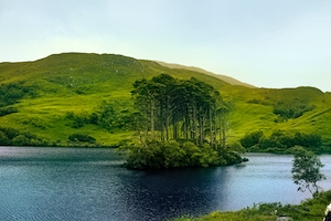 остров с деревьями, зеленый холм