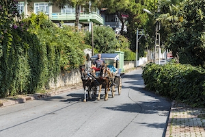 Остров Бургаз - вид с одной из улиц, по которой приближается конный экипаж 