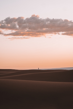 песчаная дюна, пески в пустыне, пейзаж в пустыне на закате 