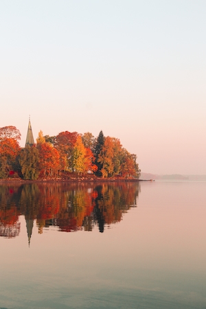Осенний лес у озера, отражение леса в воде озера, озеро днем