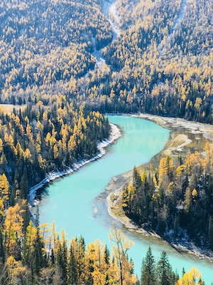 извилистая бирюзовая река, фото зеленого леса сверху 