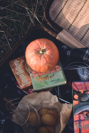 Атрибутика Гарри Поттера, вещи в стиле Гарри Поттера, осень, тыква, книга Гарри Поттер 