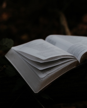 Открытая книга (Библия) с переворачивающимися страницами