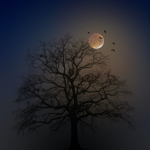 полная луна на небе, силуэт дерева и птиц 