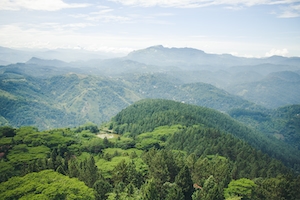 Пейзаж Шри-Ланки