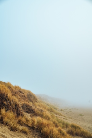 Поросшие травой холмы и песчаные дюны исчезают в прибрежном океанском тумане.