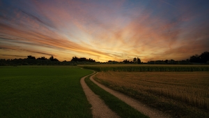 поле во время заката, панорама, дорога через поле 