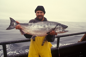 Очень крупный лосось, пойманный во время исследовательского круиза, фото человека с большой рыбой 