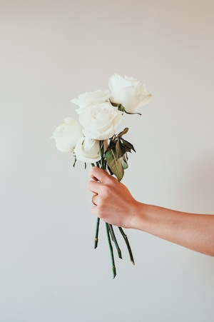Рука, держащая белые розы