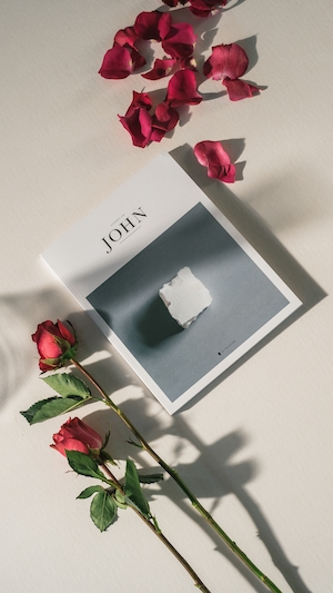 Книга Иоанна с красными розами на белом фоне