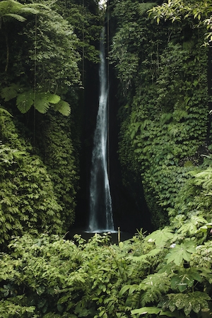 Водопады Бали, водопад в окружении зеленых растений