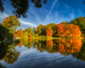 Осенний лес у озера, отражение леса в воде озера, озеро днем