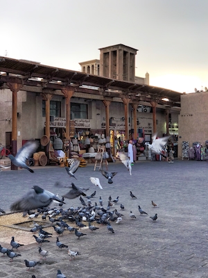Дубай, ОАЭ, голуби на площади 