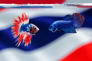 яркие сине-красные рыбки на фоне флага Тайланда 