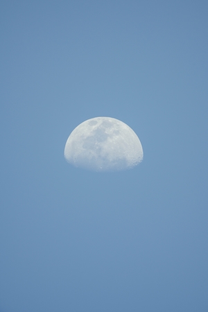 луна на голубом небе 