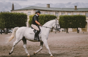 Член датской королевской гвардии верхом на лошади перед дворцом 