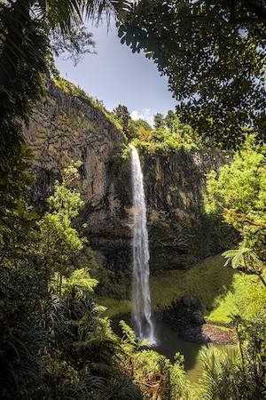 водопад в окружении зеленых растений