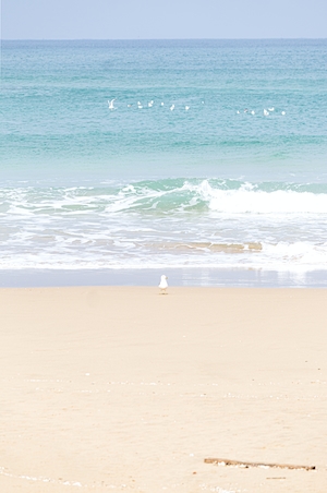 песчаный пляж, море, небо, голубая вода 