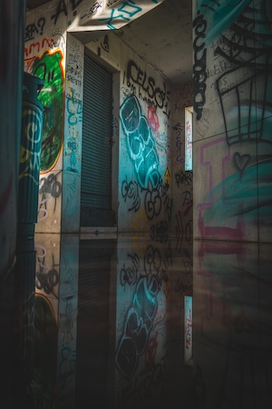 граффити на стене заброшенного здания, отражение в воде 