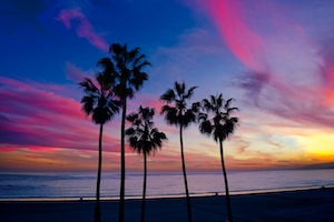 Пальмы с красочным закатом, пальмы на пляже у моря, морской горизонт