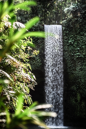 Водопад Тибумана в Убуде, Бали, водопад в окружении зеленых растений