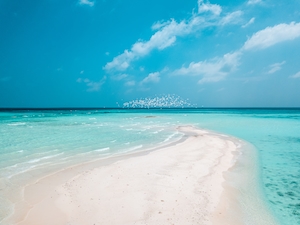 Песчаная отмель и тропическая лагуна на Мальдивах, голубая вода 