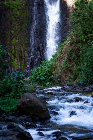 Водопад в пейзажах тропического леса Коста-Рики. Пейзажная фотография, водопад в лесу, поток водопада в лесу, большие скалы