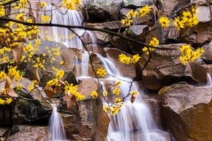 Водопад весной, комплекс каскадных водопадов 