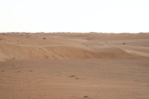  тысячи тонн песка. песчаные дюны, барханы