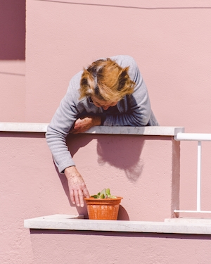 Человек тянется к горшку с растениями на фоне розового дома 