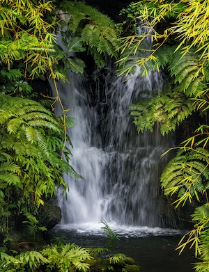 скрытый водопад, водопад в окружении зеленых растений