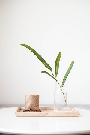 Прозрачная стеклянная ваза с деревянной чашкой чая, зеленое растение в вазе