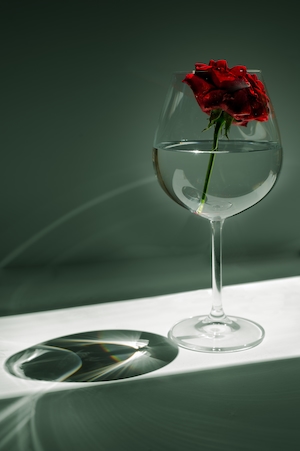 Роза в бокале для вина. Цветок красной розы, крупный план 