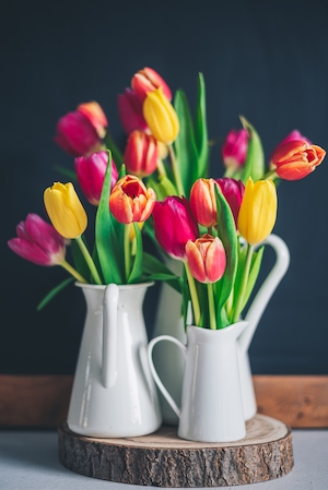 Голландские тюльпаны в вазе, крупный план 