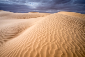 дюны, песчаная дюна, пески в пустыне, пейзаж в пустыне