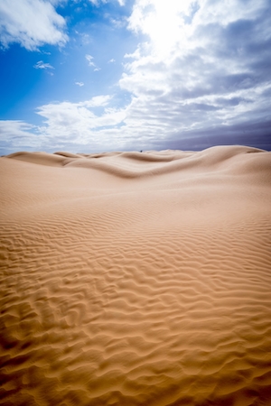 дюны, песчаная дюна, пески в пустыне, пейзаж в пустыне