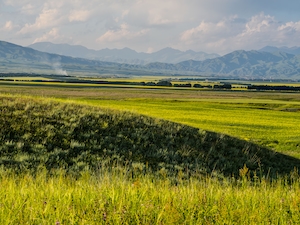 зеленое гладкое поле, панорама предгорья 