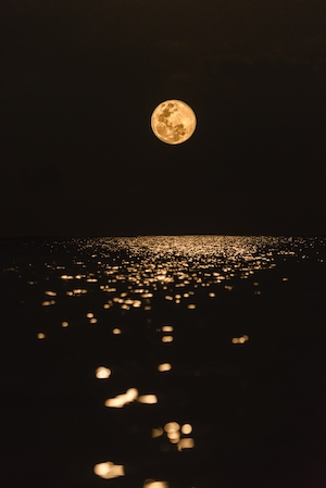 крупная луна на черном фоне, лунная дорожка на воде 