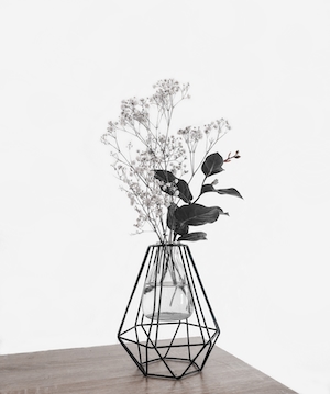 растения в вазе с геометрическим декором 