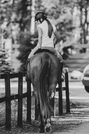 конь с наездницей, черно-белая фотография 