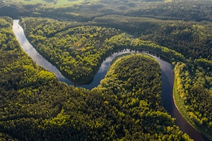 фото зеленого леса сверху, извилистая река 
